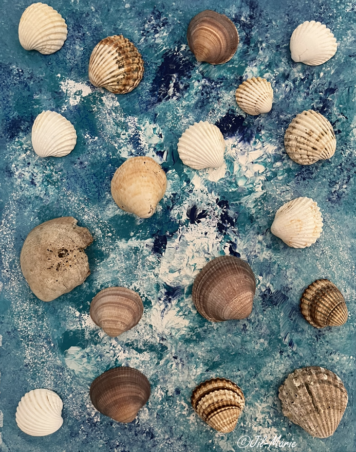 image from Shells